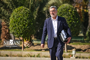 وزیر بهداشت: تعداد مبتلایان به آنفلوآنزا و افراد بستری نسبت به سال گذشته تغییر نکرده است