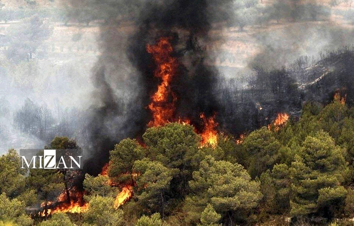 ۸۰ درصد آتش‌سوزی جنگل‌های هیرکانی مهار شد