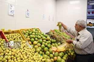 تمامی میادین و بازار‌های میوه و تره‌بار تعطیل است