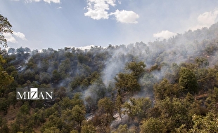 آتش‌سوزی جنگل‌های الیت مهار شده است