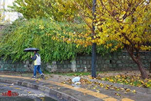 کیفیت هوای پایتخت ۲۰ آذر ۱۴۰۴؛ شاخص آلودگی ۶۸ و در وضعیت «قابل قبول»