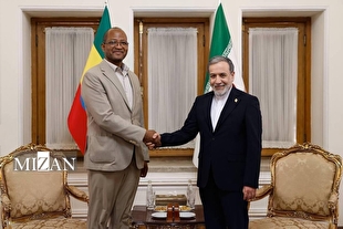 رئیس مجلس نمایندگان اتیوپی با عراقچی دیدار کرد