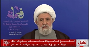 شیخ نعیم قاسم: تسلیم‌شدن به نابودی لبنان منجر می‌شود/ مخالفت حزب‌الله با حصر سلاح