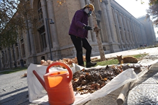 «پاییزبرگ»؛ رویدادی که می‌تواند در رواج گفتمان‌های محیط زیستی تأثیرگذار باشد