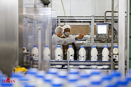 آشفته‌بازار لبنیات؛ از افزایش چندباره قیمت تا نبود مدیریت در توزیع علوفه