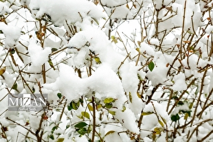 دمای پایین‌تر از نرمال در کشور حاکم می‌شود
