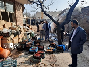  برخورد قاطع دادستانی شاهرود با تهدیدکنندگان سلامت عمومی در آستانه شب یلدا