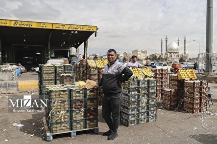 هشدار سازمان بازرسی به مدیران عامل فروشگاه‌های شهروند و سازمان میادین میوه و تره بار شهرداری تهران