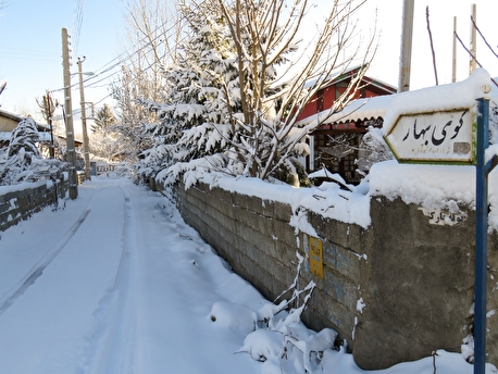 تک عکس / برف در کوی بهار