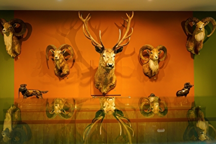 پردیس موزه رامسر