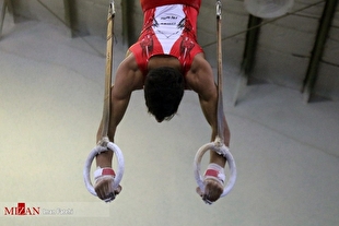 رئیس فدراسیون ژیمناستیک با حکم قضایی برکنار نشده است