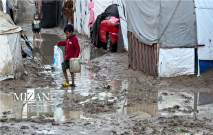 عفو بین‌الملل: اسرائیل با وجود آتش‌بس به نسل‌کشی فلسطینیان در غزه ادامه می‌دهد