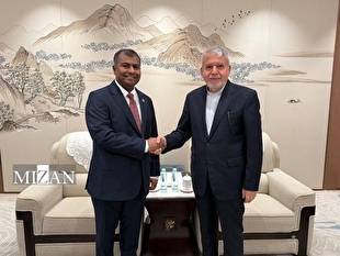 وزیر میراث فرهنگی: ایران شریک مطمئن میراثی، فرهنگی و گردشگری برای مالدیو است