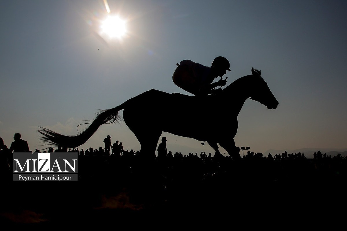 انتخابات فدراسیون سوارکاری بازهم در آستانه ابطال؟/ ابهامات جدی درباره صلاحیت رئیس جدید