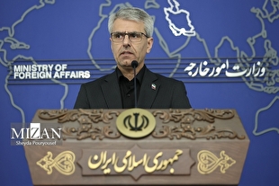 بقایی: حمله به انستیتو پاستور ایران فراتر از جنایت جنگی است