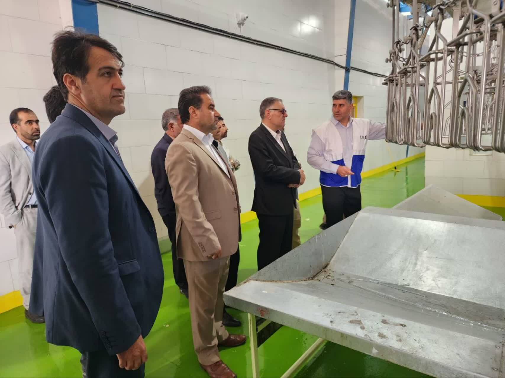 دادستان دلفان از کشتارگاه صنعتی و گاوداری ۶ هزار رأسی بازدید کرد