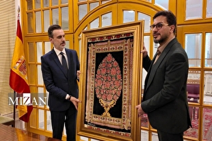حامد شاکرنژاد با سفیر اسپانیا دیدار کرد/ تأکید بر صلح، همگرایی فرهنگی و همکاری‌های مشترک