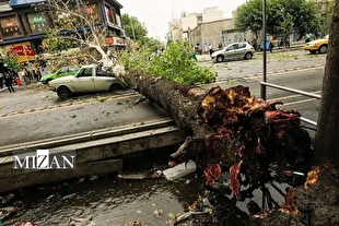 مصدومیت ۱۷ نفر در پی وزش باد شدید در استان تهران