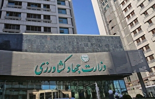 اعلام سقف ارزی جدید برای واردات برنج و نهاده‌های روغنی