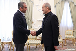 دیدار وزیر کشور پاکستان با رئیس جمهور/ پزشکیان: همکاری همسایگان در جلوگیری از سوءاستفاده تروریست‌ها از خاکشان اقدامی ارزشمند بود