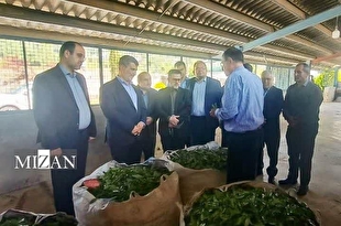 رئیس کل دادگستری گیلان از دادگستری شهرستان املش و حوزه قضایی رحیم‌آباد بازدید کرد