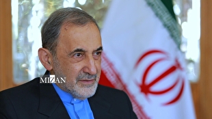 ولایتی: ترامپ در تناقض تهدید علیه ایران و مشتریان عصبانی پمپ‌بنزین‌های آمریکایی گرفتار شده است