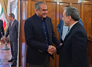 دیدار وزیر کشور پاکستان با سید عباس عراقچی
