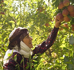 سریال «مادران» از جمعه ۱۱ اردیبهشت روی آنتن شبکه یک سیما