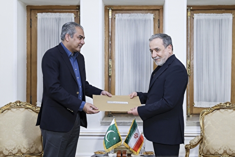دیدار وزیر کشور پاکستان با عراقچی