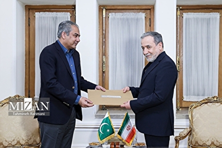 دیدار وزیر کشور پاکستان با وزیر امور خارجه؛ نامه اسلام‌آباد به رهبر انقلاب تحویل عراقچی شد