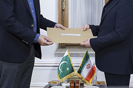 دیدار وزیر کشور پاکستان با عراقچی