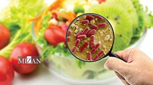 تشدید بازرسی‌های بهداشتی مراکز غذایی و اماکن عمومی در ساعات غیراداری و روز‌های تعطیل