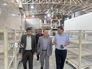 مسئولان قضایی شهرستان رامیان از دو واحد تولیدی در شهرک صنعتی بازدید کردند