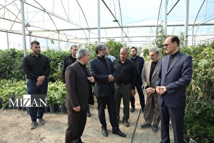 رئیس کل دادگستری استان آذربایجان غربی از یک واحد نهالستان بزرگ در ارومیه بازدید کرد