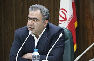 صنعت چوب و کاغذ؛ موتور خاموش اقتصاد ایران