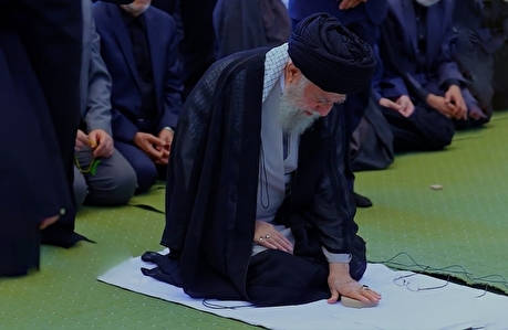 نماهنگ | رسیدی کربلا، زیارتت قبول آقا