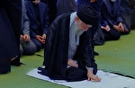 نماهنگ | رسیدی کربلا، زیارتت قبول آقا