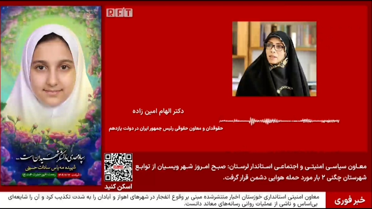 الهام امینزاده، حقوقدان و معاون سابق رئیسجمهور: ایران باید برای محاکمه آمریکا درخواست بدهد