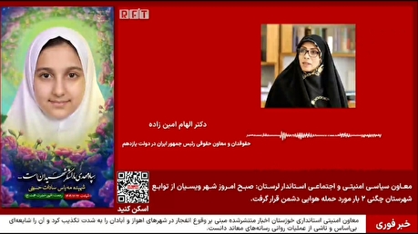 الهام امین‌زاده، حقوق‌دان و معاون سابق رئیس‌جمهور: ایران باید برای محاکمه آمریکا درخواست بدهد
