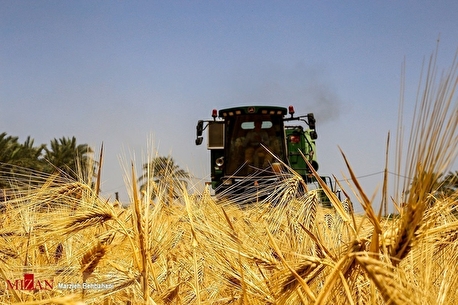 Wheat farmers await payment; weekly promise unfulfilled