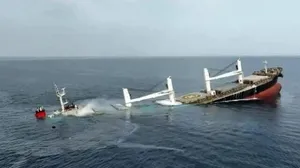 64 shipping giants blacklisted by Yemen over Israel links