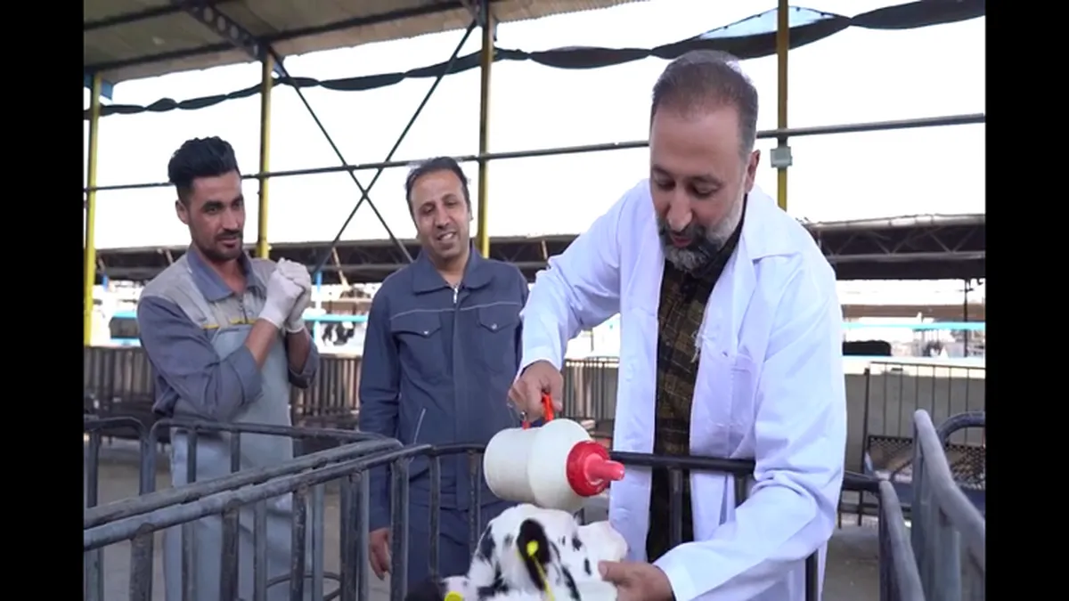 زنجان، قزوین و شهریار مقصد قسمت سیزدهم &laquo;بی&zwnj;واسطه&raquo; / وضعیت بهره&zwnj;وری در صنعت کشاورزی و دام&zwnj;داری ایران چگونه است؟