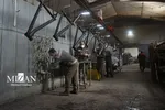 آزادی ۴۹ زندانی جرایم غیرعمد استان ایلام در چهار ماهه نخست سال/۸۷ درصد دادرسی‌های زندانیان الکترونیکی انجام می‌شود