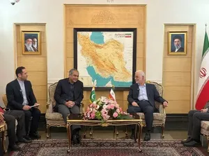 وزیر کشور پاکستان وارد تهران شد