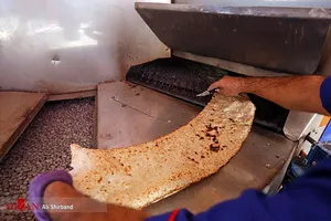 پیگیری یک شایعه درباره عرضه نان