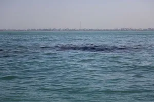 تداوم عملیات پاکسازی آلودگی نفتی سواحل جنوب قشم