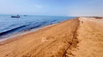 پایان عملیات مقابله با آلودگی نفتی در سواحل قشم و هنگام