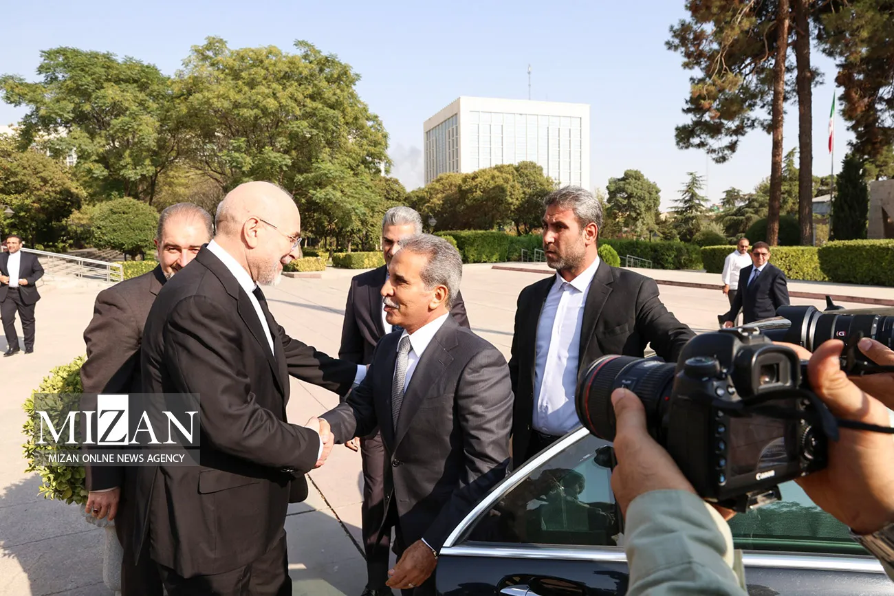 دیدار مقامات قضایی عراق با رئیس مجلس شورای اسلامی