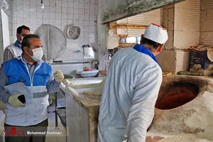 تشکیل ۹۵ پرونده تخلف در حوزه آرد و نان در استان دادگستری خراسان جنوبی