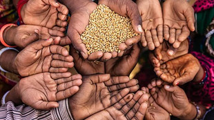 افزایش جهانی فقر چندبُعدی برای نخستین‌بار از سال ۲۰۱۰